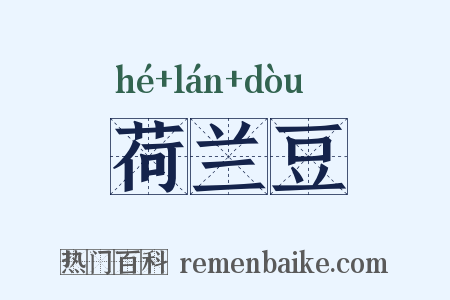 荷兰豆是什么意思的图片